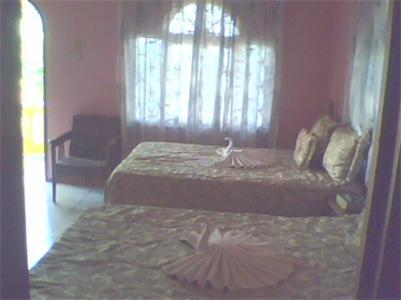 Cotton Tree Hotel Negril Rum bild